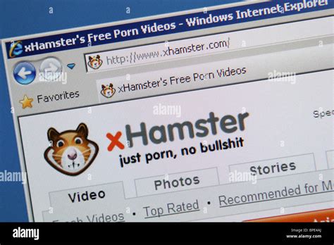 freeporno/xhamster|xHamster TV Free Porn Videos.